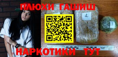мдпв Кандалакша