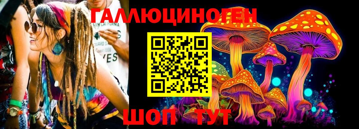 Бутурлиновка  Псилоцибиновые грибы Cubensis  Вход с VPN 
